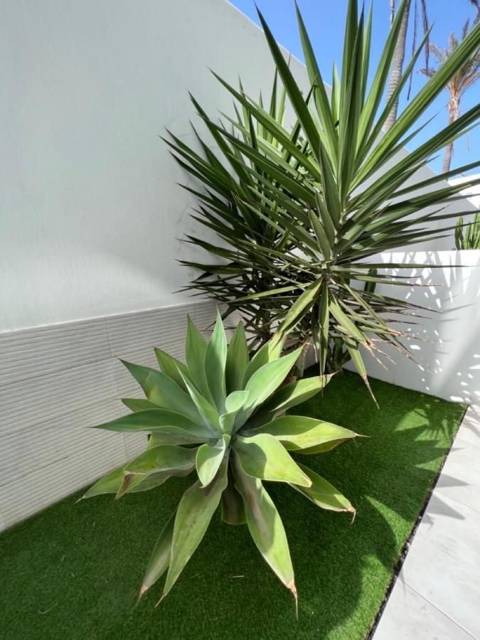 Corralejo Bristol Terrace Apartment Con Giardino Privato Esterno Exteriör bild